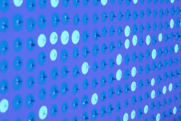 C-2, detail